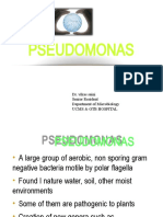 Microbiology Pseudomonas