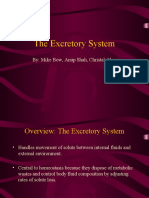 The Excretory System: By: Mike Bow, Anup Shah, Christal Alonzo