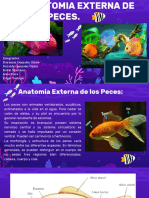 Anatomia Externa de Los Peces