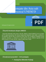 Ungurianu Andrei-UNESCO Asia