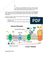 Materi Kti