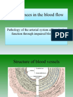 Disturbances in The Blood Flow1