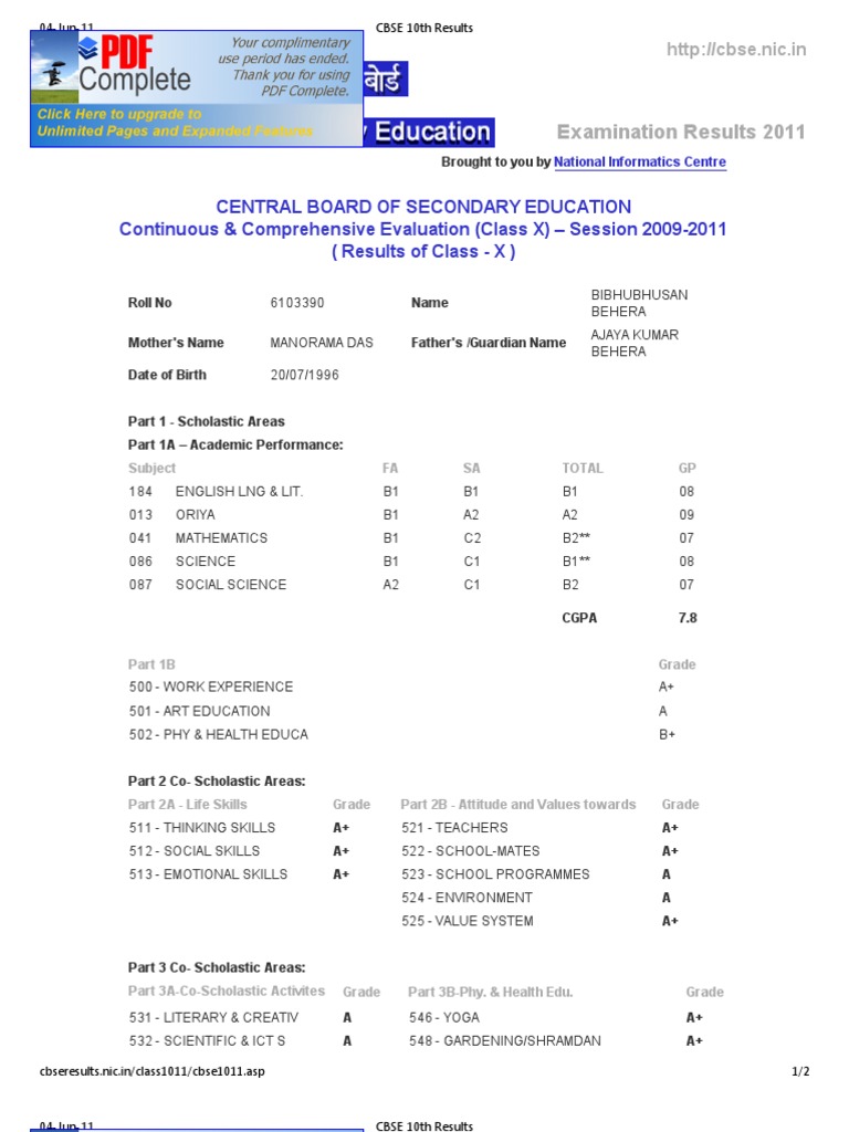 CBSE Class 10 Result 2009 Summary | PDF