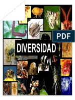 Diversidad de artrópodos y grupos afines