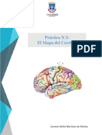 Practica N 3 Mapa Del Cerebro