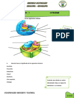 Fichas 5to Sec Tema 1