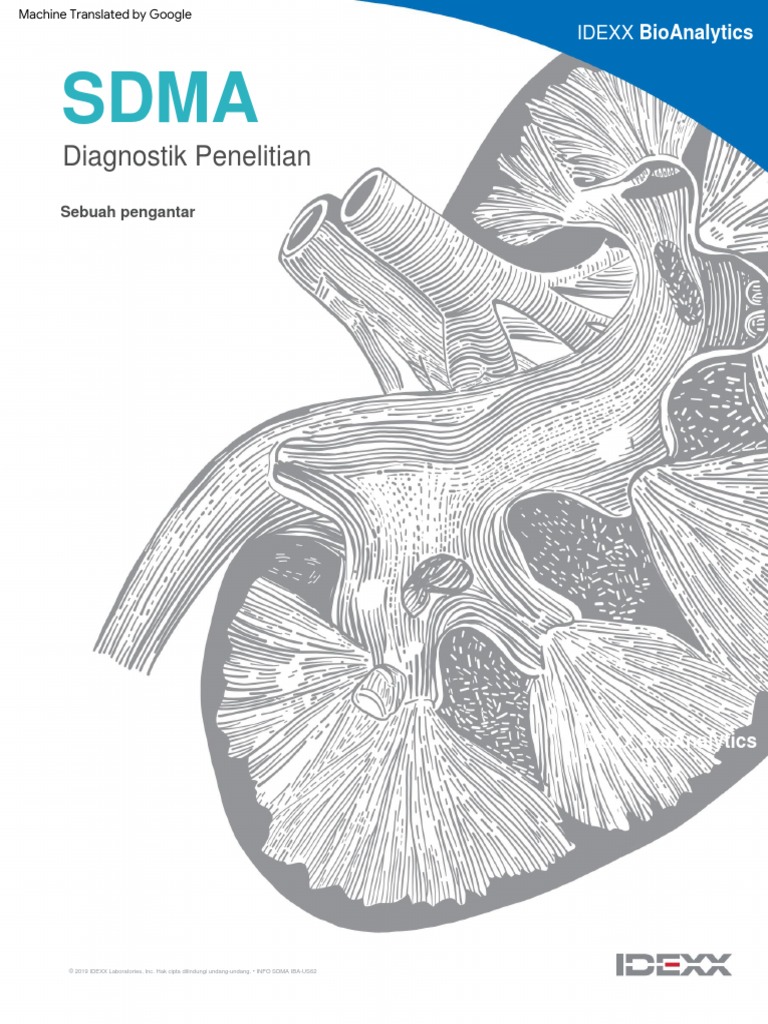 Sdma Info Sheet v10f-1 | PDF
