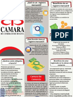 Folleto Generalidades de La Camara de Comercio Grupo #1