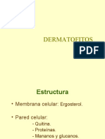 dermatofitos 