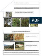 Caracterización Ambiental 3 Hoja Fact Bio