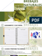 Brebajes Sesión 4 PDF