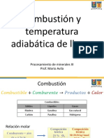 Clase 4 - Combustion