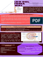 Act. 4 Cuidado Del Sistema Renal