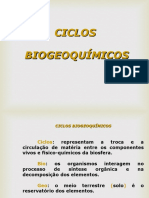 Aula 04 Ciclo Biogeoquimico 2020