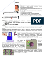 3 - Defensa Específica