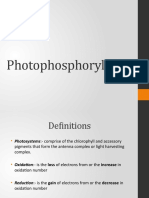 Photophosphorylation