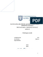 2.Referat-CONCEPTUL DE SINE ÎN PSIHOLOGIA SOCIALĂ - AS II