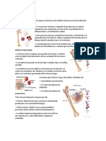 Todo Tutorías Hematologia