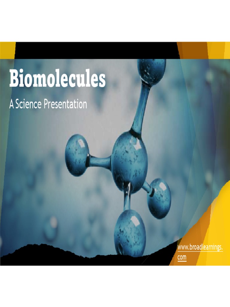 The Four Main Types of Biomolecules A Visual Guide to Carbohydrates