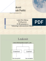 Leukosit (Sel Darah Putih)