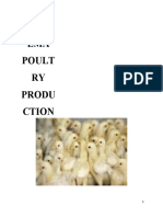 Kechema Poultry Production