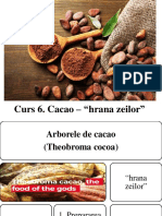 Curs 6. Cacao