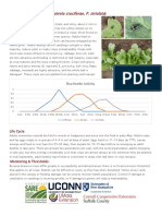 Phyllotreta Cruciferae P Striolata: Flea Beetle Biology (, .)