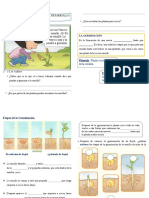 P-3-Ct-U6-S3 (Las Plantas Tienen Etapas de Desarrollo) R