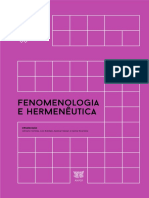 Fenomenologia e Hermenêutica