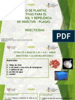 Elaboración de Repelentes para Plagas - Rikolto-Fortaleza Del Valle-Mag