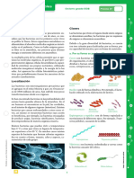 Ciencias-Naturales 8EGB Las-Bacterias