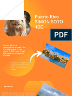 Sanican: Puerto Rico Simon Soto 10C