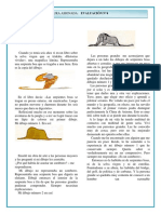 Castellano 3° Año Ii - Lectura Asignada Evaluación # 4