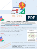 Meiosis