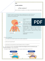 CURSO CIENCIA Y TECNOLOGÍA Respiramos en Nuestro Medio Ambiente.