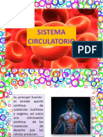Sistema Circulatorio - 1