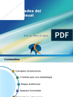 Generalidades Del Sistema Visual: Prof. Lic. Mario Di Santo