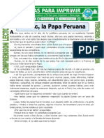 Ficha Sumac La Papa Peruana para Cuarto de Primaria