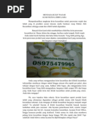 Download Perawatan Kulit Wajah Asli Dokter Terkemuka Ptkiara Dan Legal Ada No POM by Nimalida Martadinata SN57625881 doc pdf