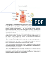 Semana 3 de Apuntes