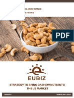 03 - Strategy To Bring Cashew Nuts Into The US Market