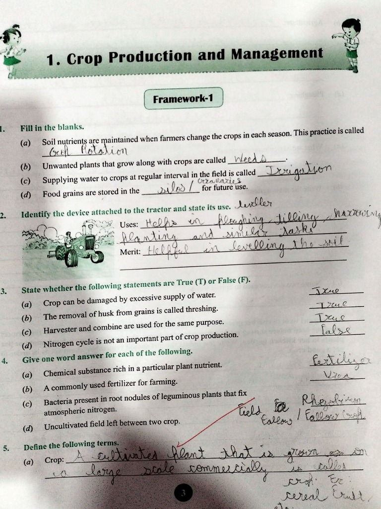 Science Workbook PDF