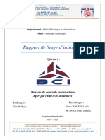 Bci PDF