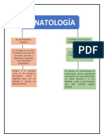 Mapa Conceptual de Tanatología