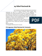 El Araguaney Árbol Nacional de Venezuela