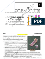 03-Cromosomas y Cariotipo