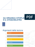 2-Gli Organuli Cellulari e Il Citoscheletro