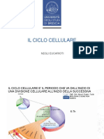 3-Ciclo Cellulare e Divisione