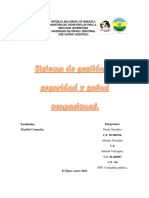 Sistema de Gestión de Seguridad y Salud Ocupacional