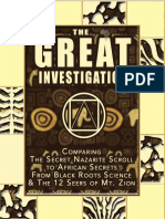 The Great Investigation